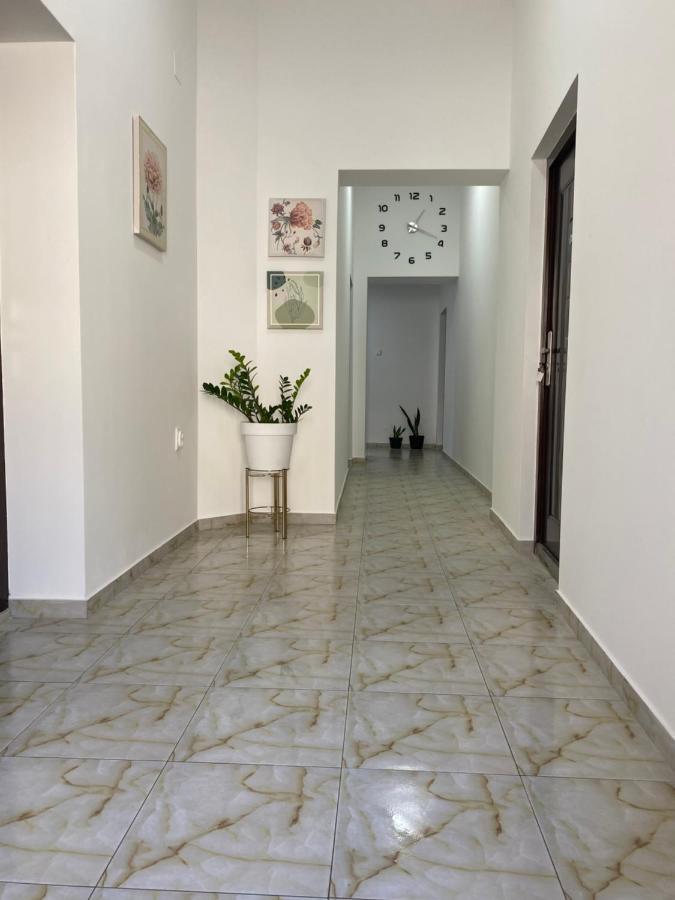 Apartamento Lotus House Zrenjanin Exterior foto